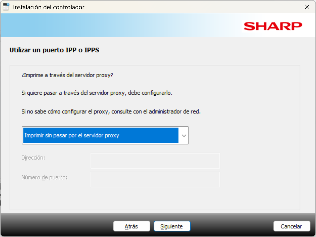 Configuración de proxy